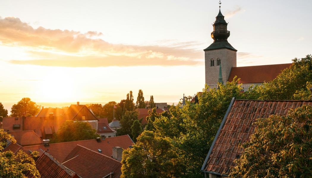 Järnvägens kapacitet nu och i framtiden diskuteras under Almedalsveckan i Visby. Foto: Casper van Battum/Unsplash