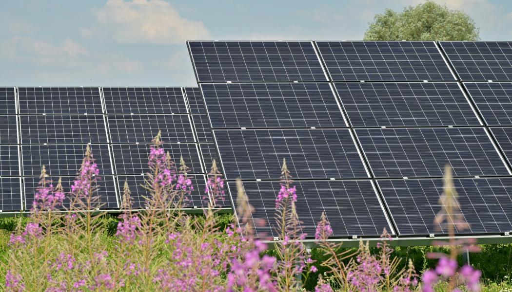 Solcellspark. Foto: Andres Siimon / Unsplash