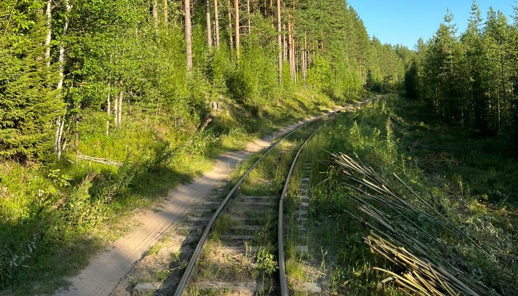 I dagsläget är endast beslut fattade om vegetationsröjning och utredningsarbete. Bilden tagen på annan sträcka. Foto: valeria v/unsplash