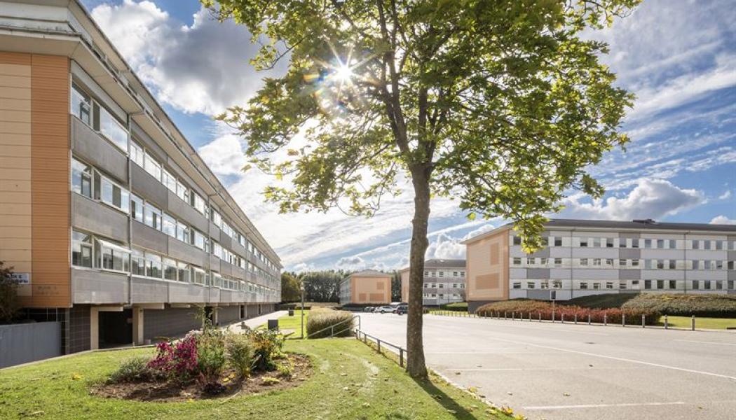 Boligselskabet Koldings förening på Jylland, Danmark. Fotograf: Anette Roien