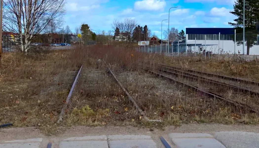 Vegetationsröjningen längs järnvägen mellan Bollnäs och Edsbyn är det första steget i utredningen av möjligheten att återuppta trafik på sträckan. Foto: Trafikverket