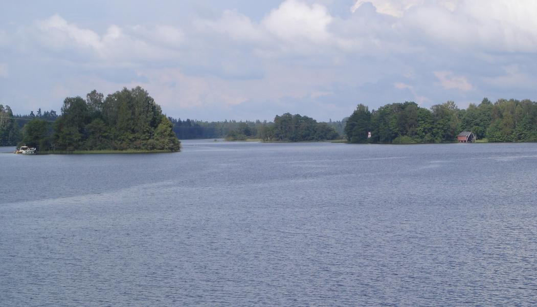 Sjön Bolmen Foto: Eddie001/Wikimedia Commons/https://commons.wikimedia.org/wiki/File:Bolmen_in_Piksborg.JPG