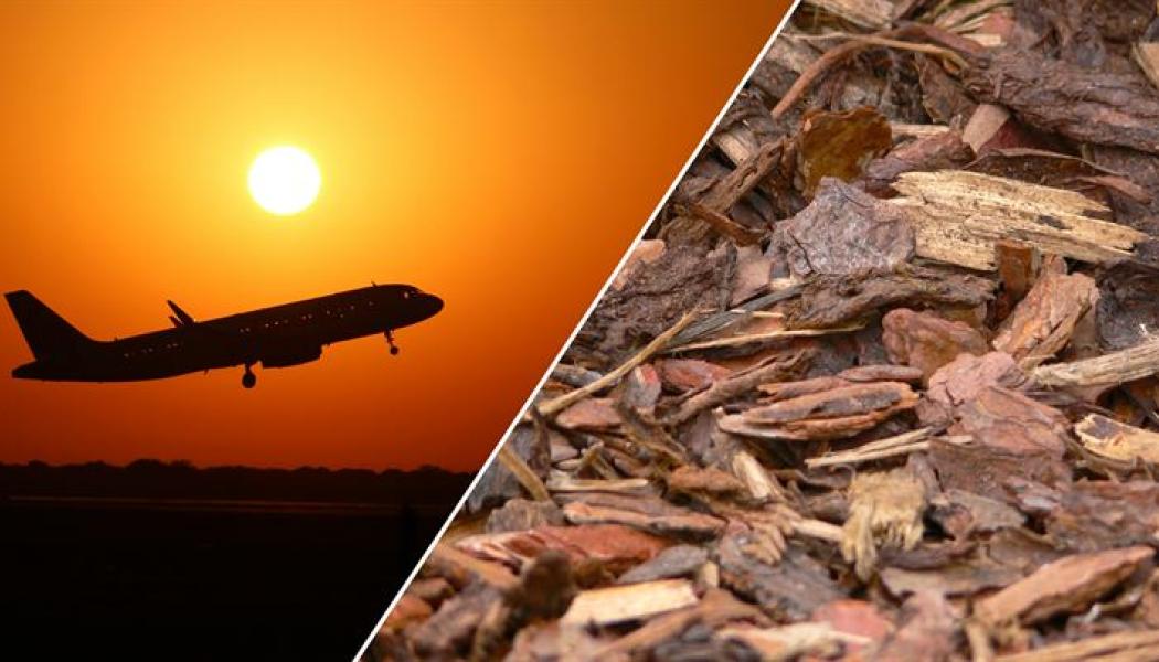 EU:s regelverk riskerar att leda till resursslöseri när hållbart flygbränsle ska produceras med biomassa som råvara, visar forskare på Chalmers. Bild: CC BY Gustavo Ramirez/CC0