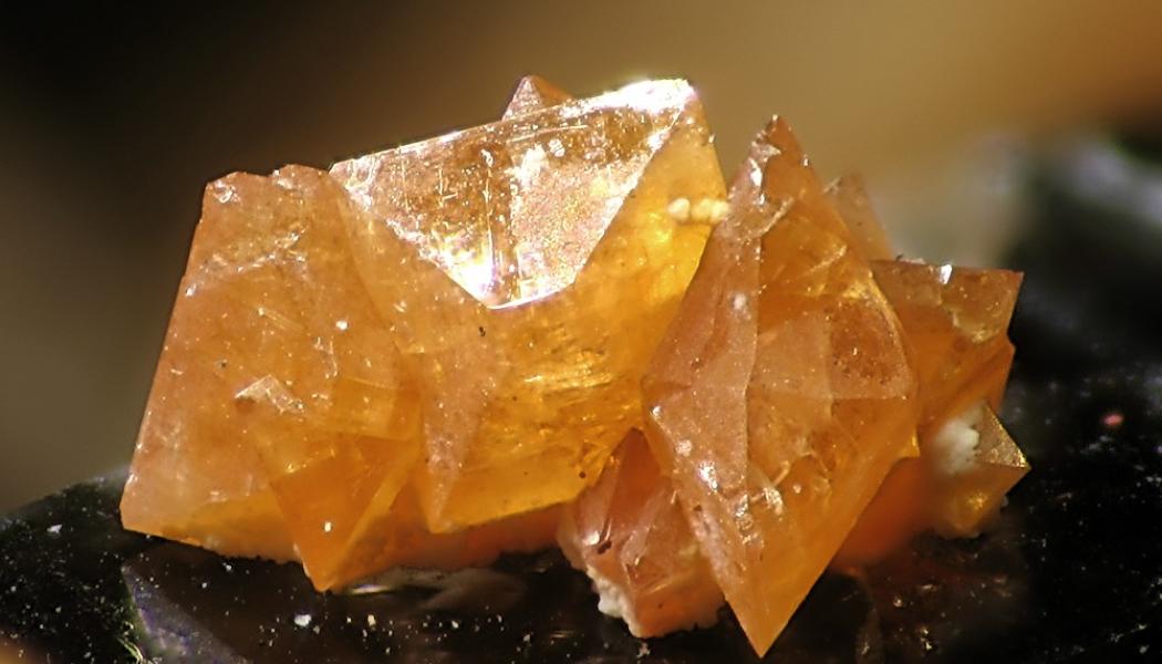 Photo: Christian Rewitzer/Wikimedia Commons