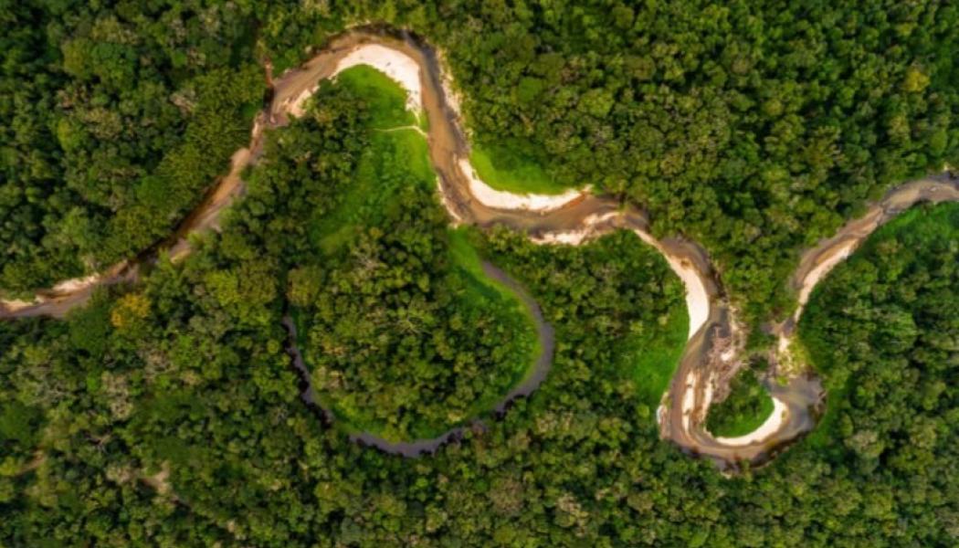The program aims to connect cutting-edge science with local and traditional knowledge to develop solutions that generate economic value while preserving the rainforest and supporting communities across the Amazon. Photo: Idesam
