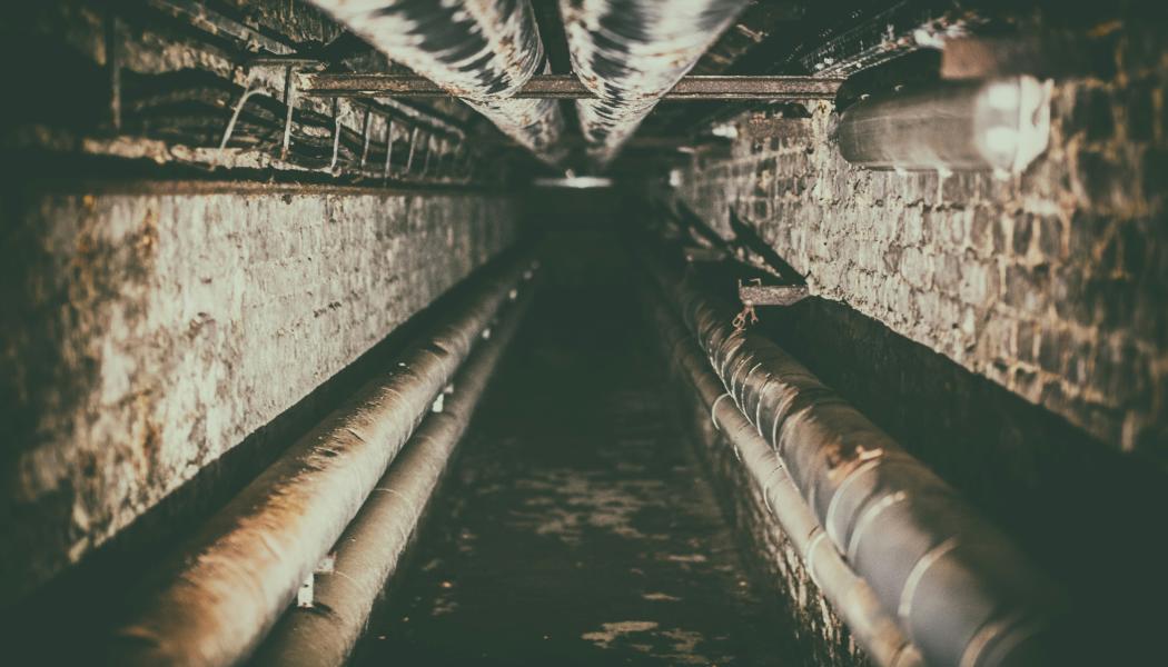 Foto: Denny Müller / Unsplash