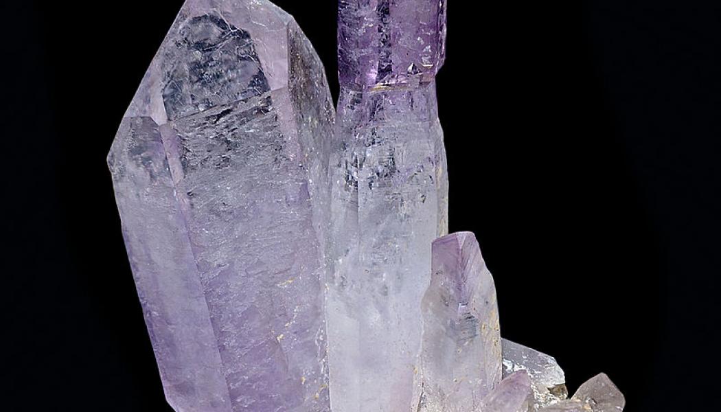 Foto: Didier Descouens/Wikimedia Commons