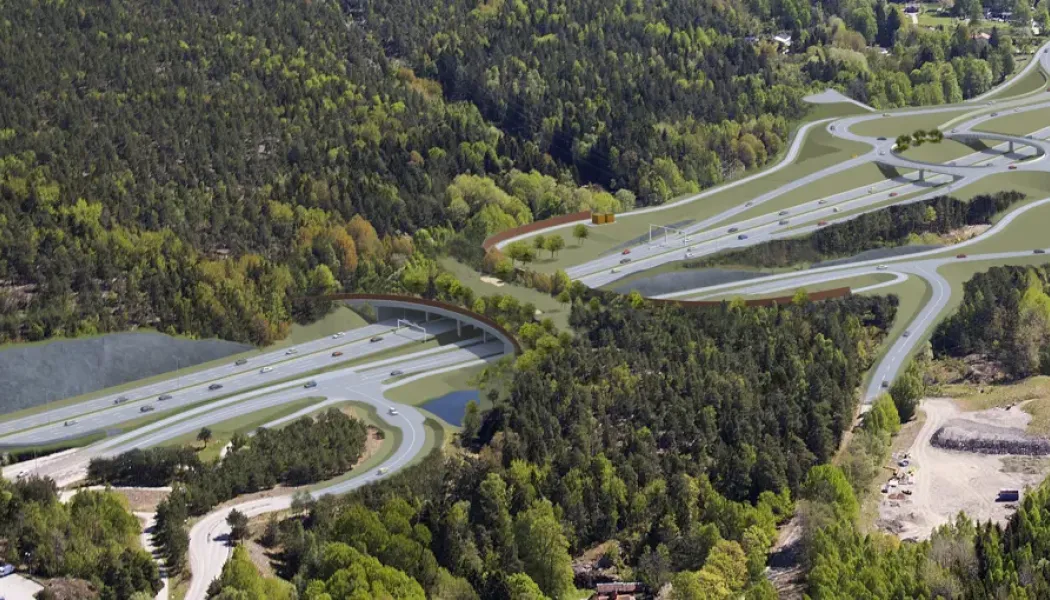 Illustrerad bild av ekodukt vid Trafikplats Masmo. Bild: Trafikverket