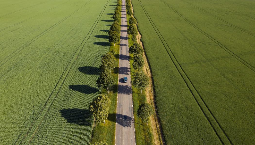 Skåne tillhör de regioner som ligger i topp när det gäller användning av elfordon i offentliga fordonsflottor. Foto: Triztic Photography/Unsplash