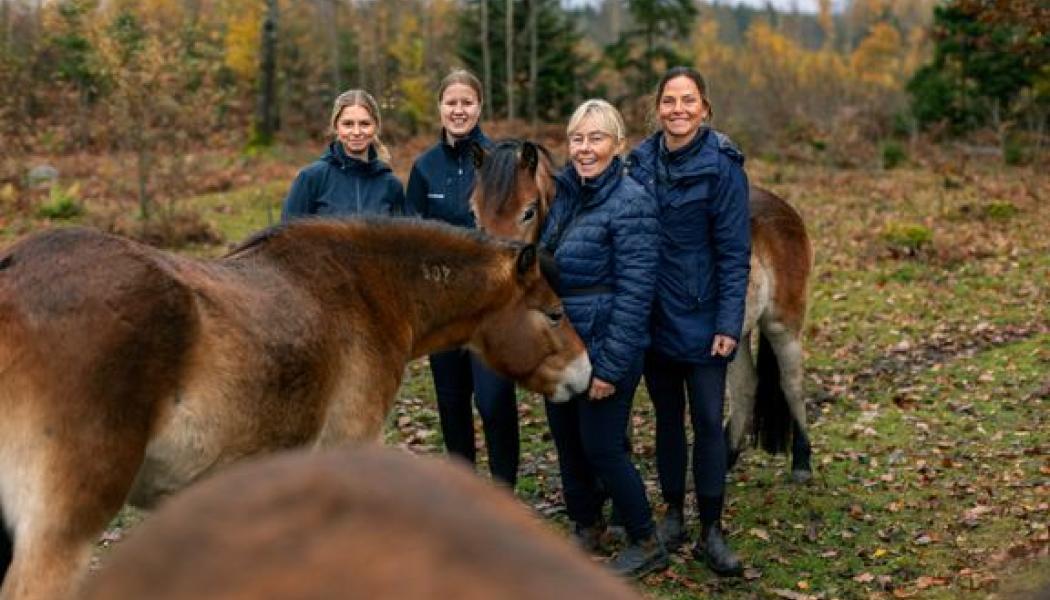 Stolt personal hos Årets ridskola tillsammans med russen från Lojsta Hed, från vänster Alma Kennemar, Nina Nyqvist, Gunilla Stånggren Karlsson och Jeanette Kindeland. Foto: Susanne Walström. Foto: Folksam