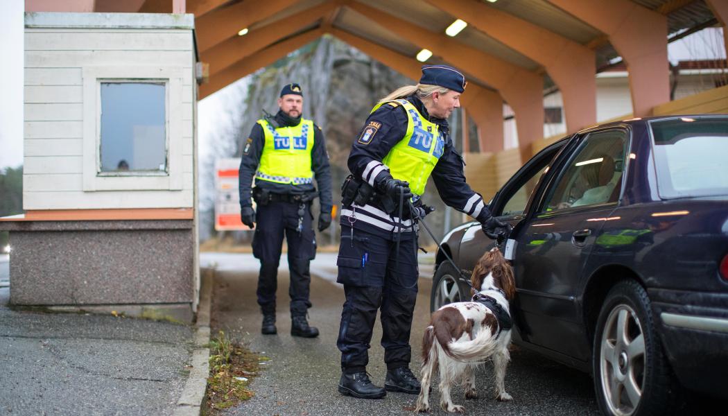 Tulltjänstepersoner med narkotikasökhunden Lola kontrollerar fordon i Svinesund. Fotograf: Mette Ottosson/Tullverket