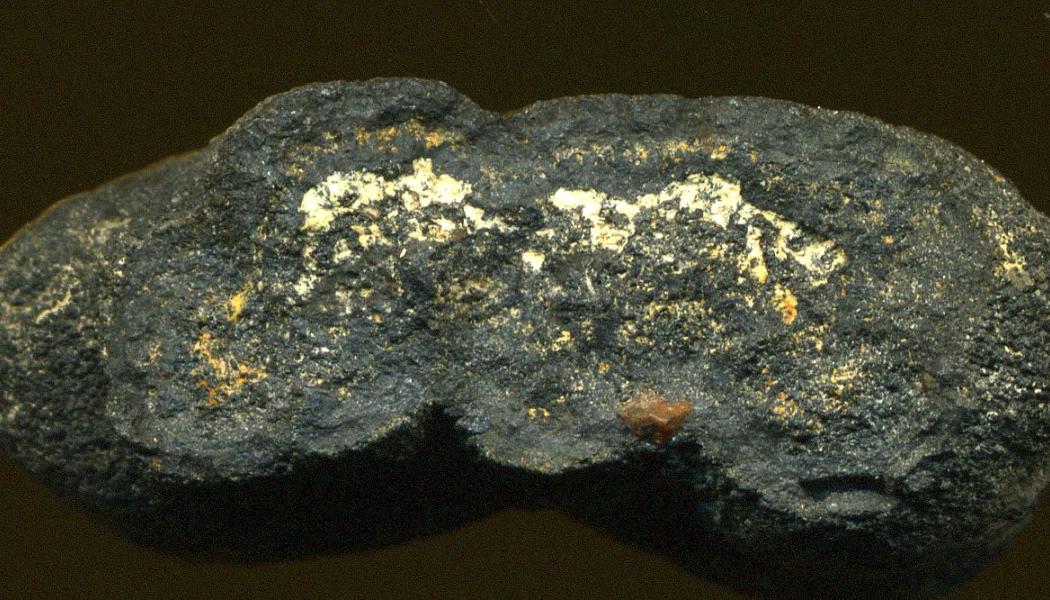 An example of a manganese nodule that can be found on the sea floor. Foto: Wikipedia Common Lic, kredit: James St. John