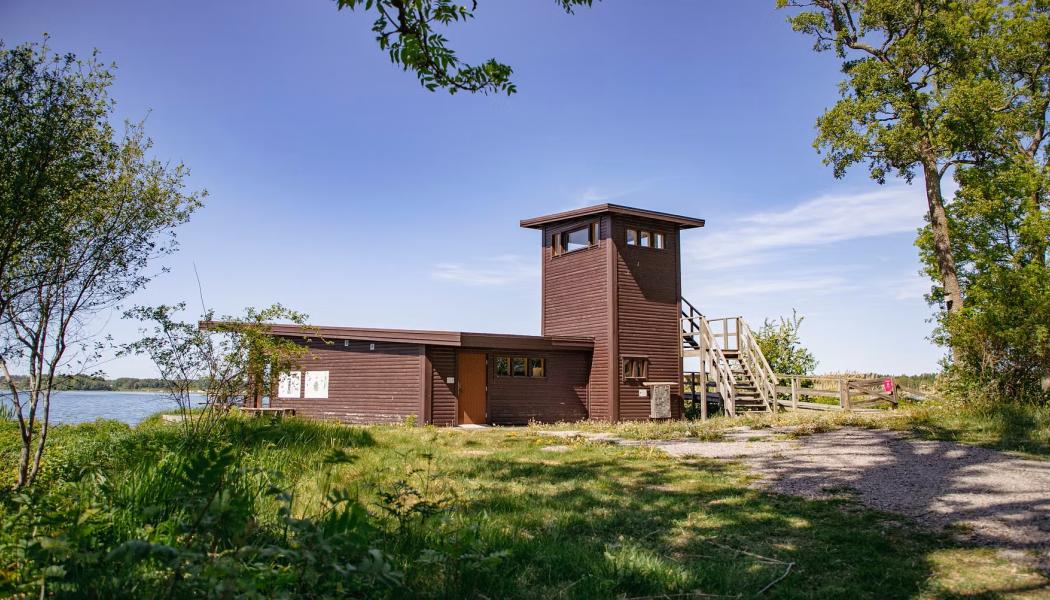 Fågeltornet vid sjön Näsnaren, Katrineholm. Foto: Katrineholms kommun
