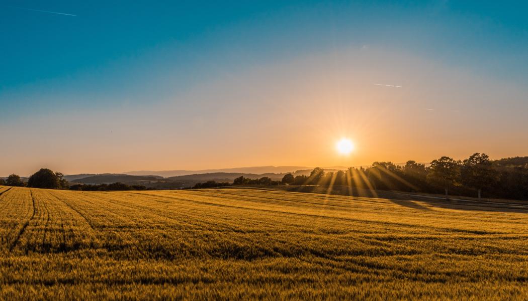Foto: Federico Respini/Unsplash