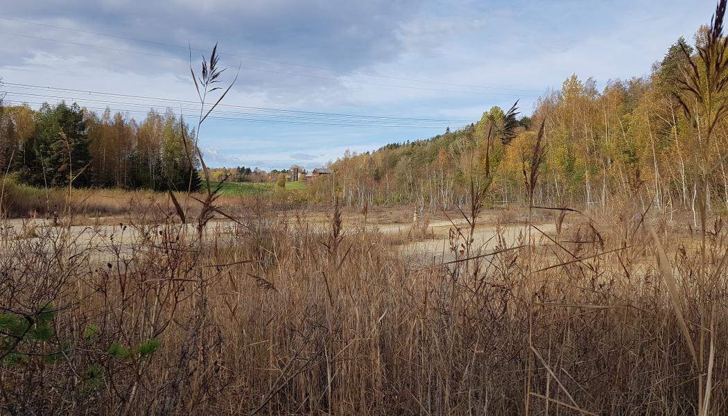 Det ska letas föroreningar vid och kring det gamla pappersbruket i Fengersfors, Åmåls kommun. Foto: Länsstyrelsen Västra Götaland