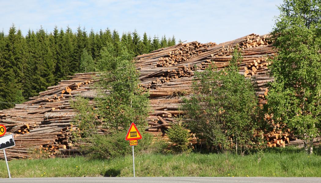 Så många som 25 av Sveriges totalt 45 pappers- och massabruk förlorar sin tilldelning av gratis utsläppsrätter.