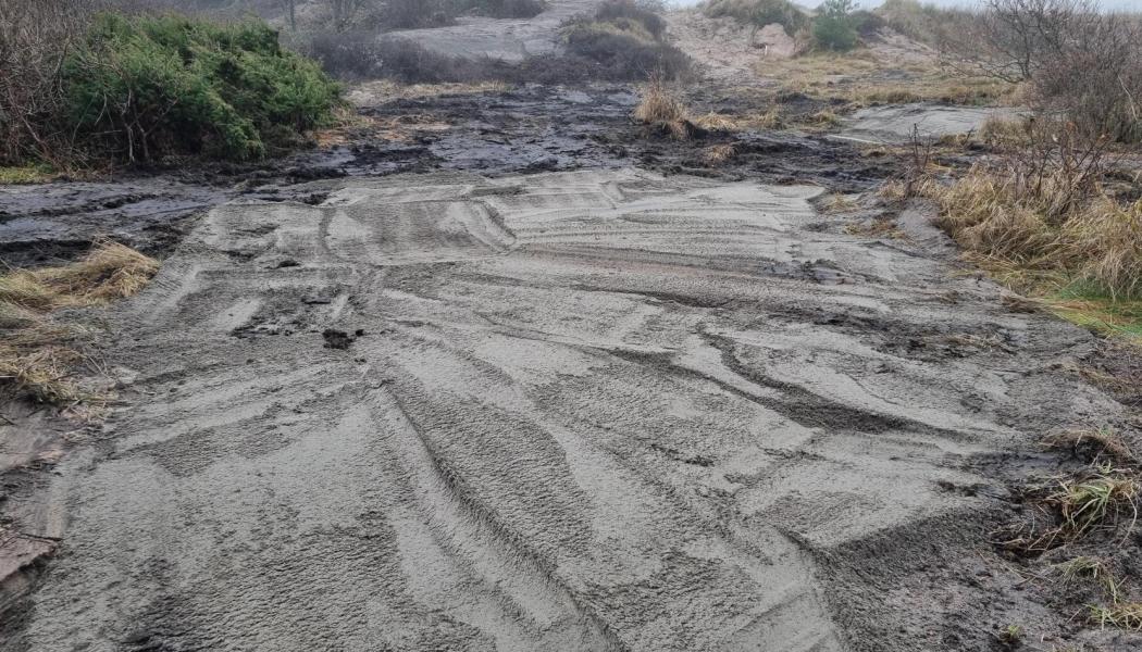 Saneringen bedöms bli omfattande, med cirka 350 lastbilssläp som behöver transporteras bort. Foto: Halmstads kommun