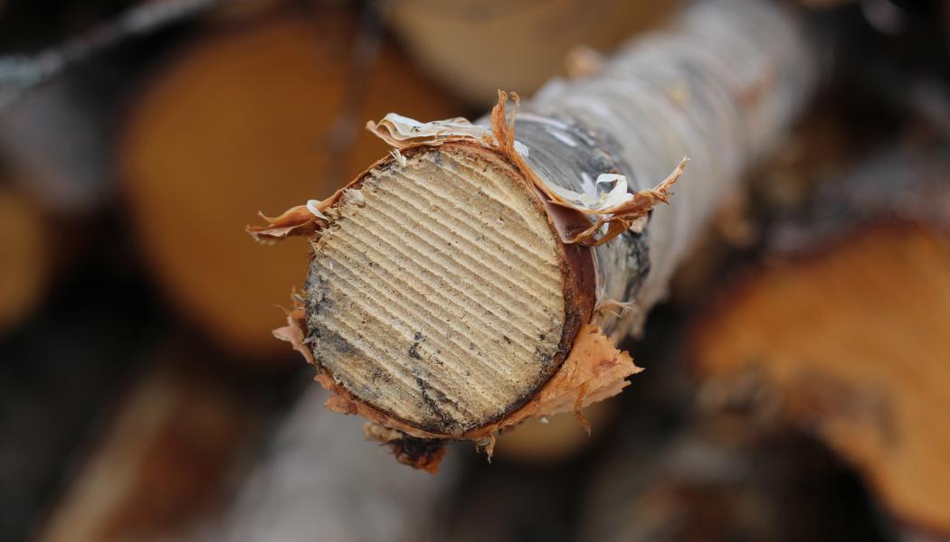 The programme affects the entire organisation and includes a redundancy notice for 200 roles across Mönsterås, Mörrum, Värö and Växjö. 