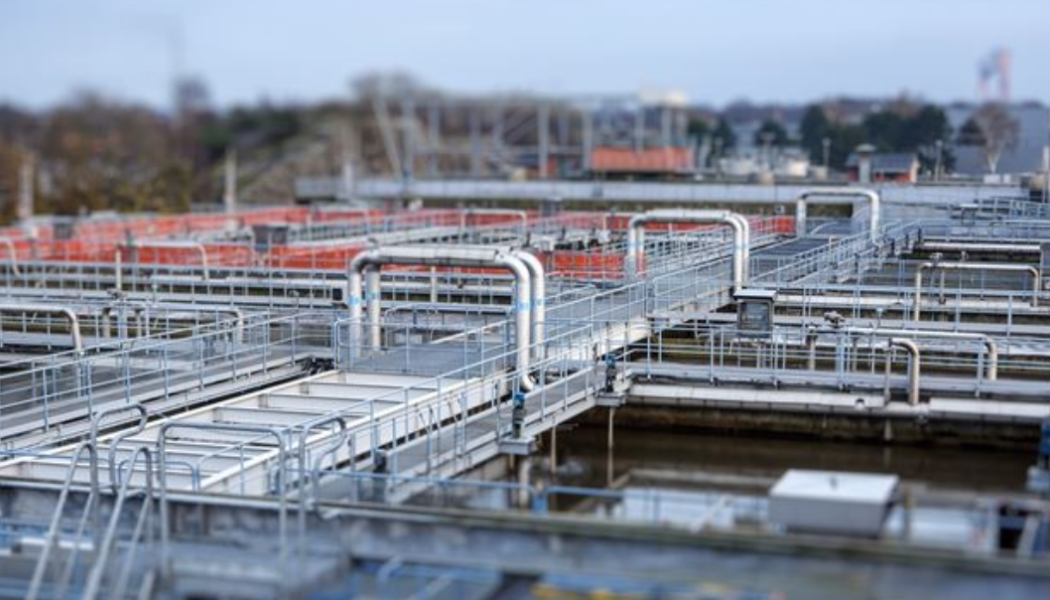 Bakteriesamhällena är konstant utsatta för virus. Foto: Chalmers