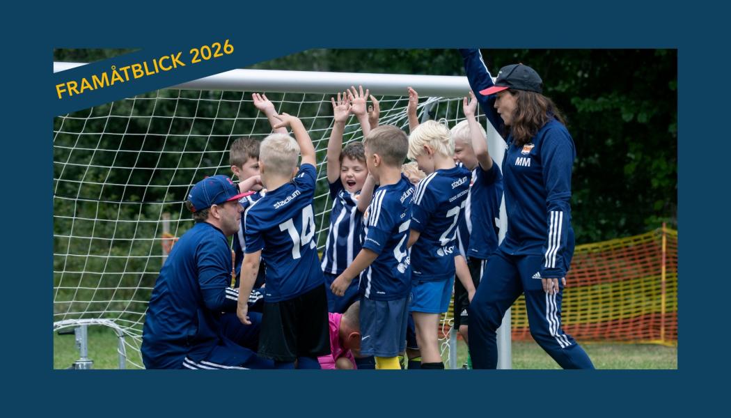 Uppdaterad översikt avslöjar tydlig planbrist i regionen Foto: Stockholms Fotbollförbund