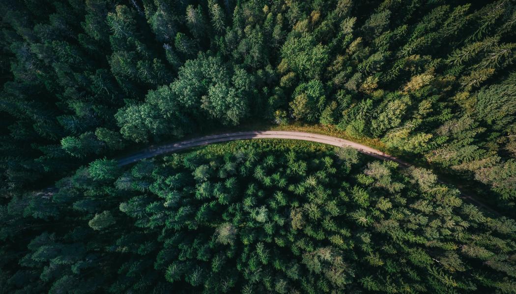 Foto: Geran Deklerk/Unsplash