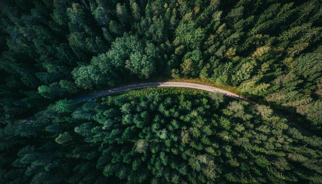 Foto: Geranimo/Unsplash