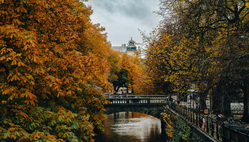 Uppsala. Foto: Ayadi Ghaith/Unsplash
