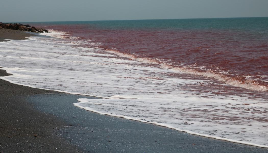 Hormuz, Hormozganprovinsen, Iran Foto: Abolhassan NeghabiUnsplash