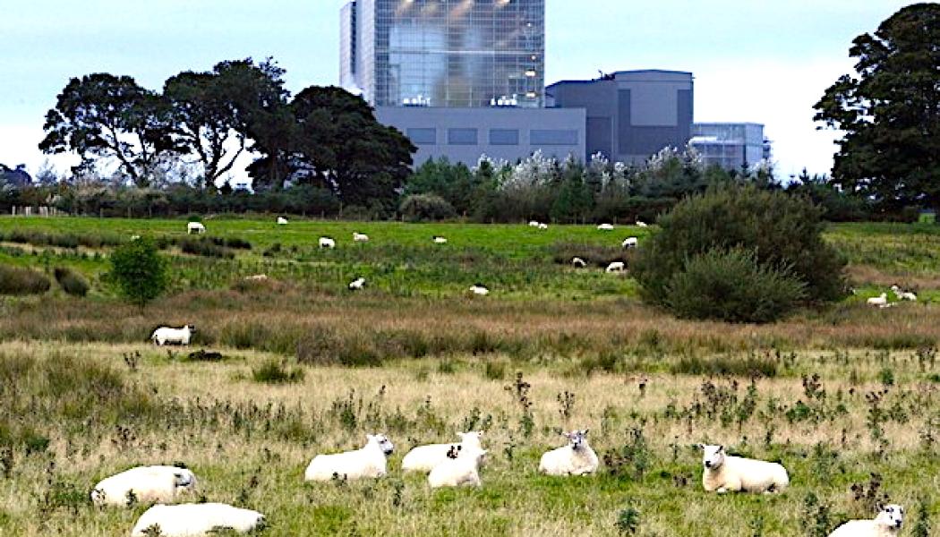 Hunterston kärnkraftverk i North Ayrshire är ett av flera skotska kärnkraftverk som lagts ned. Labour vill nu öppna för nya satsningar. Foto: Wikipedia Commons Lic. Kredit: Jonathonchampton 