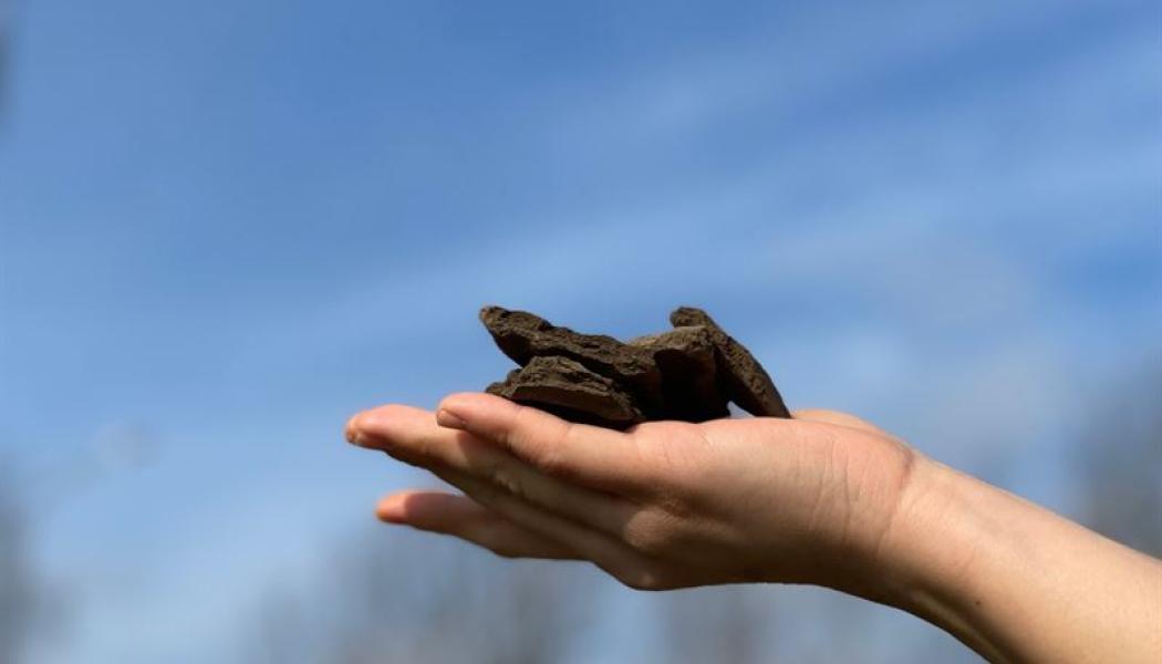 Hydrokol Foto: C-Green 