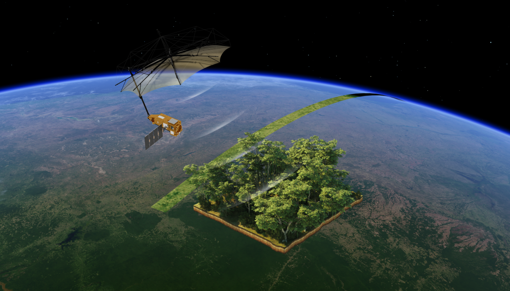 Illustration av Biomass när den mäter jordens skogar. Bild: ESA