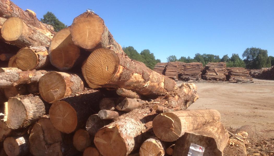 Junnikkala's sawmill operations will be fully incorporated into Stora Enso's Wood Products division and the wood procurement activities will be integrated into the Forest division.