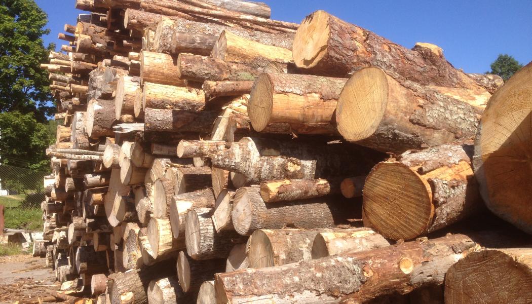 The partnership focuses on wood products, among other things.