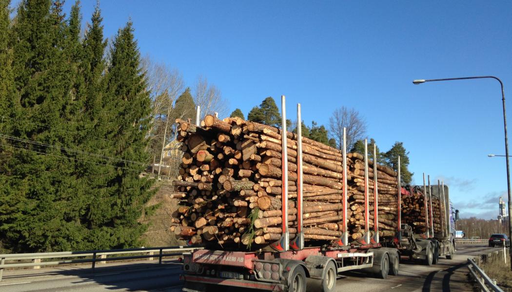 Transaktionen ökar Canfors produktionskapacitet med 230 miljoner brädfot genom sju anläggningar i Sverige och Lettland.