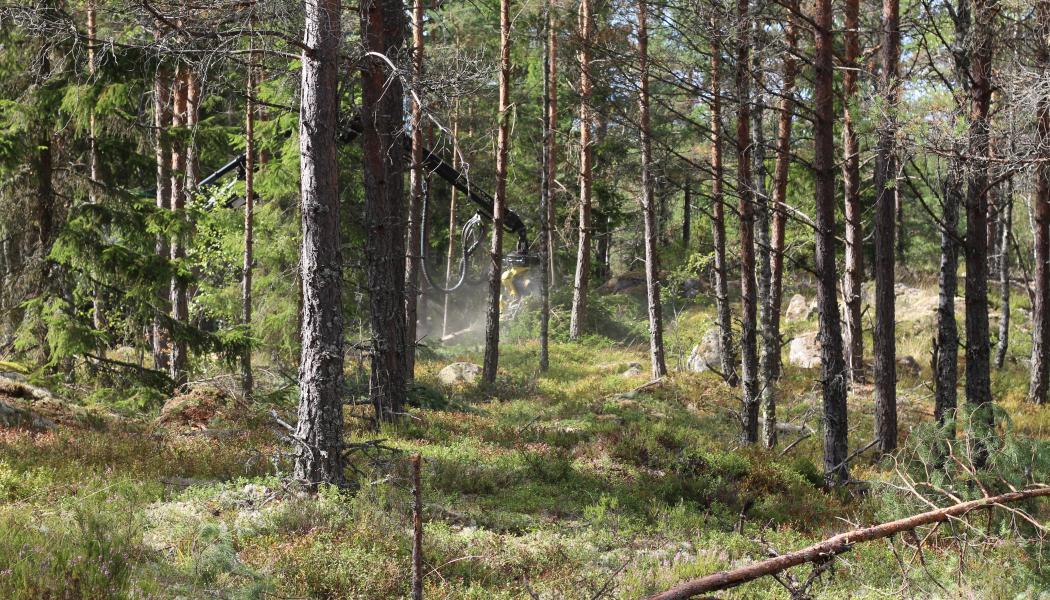 Bland utmaningarna märks begränsad tillförlitlighet i uppkoppling med drönaren, särskilt vid dåligt väder som hårda vindar och regn.