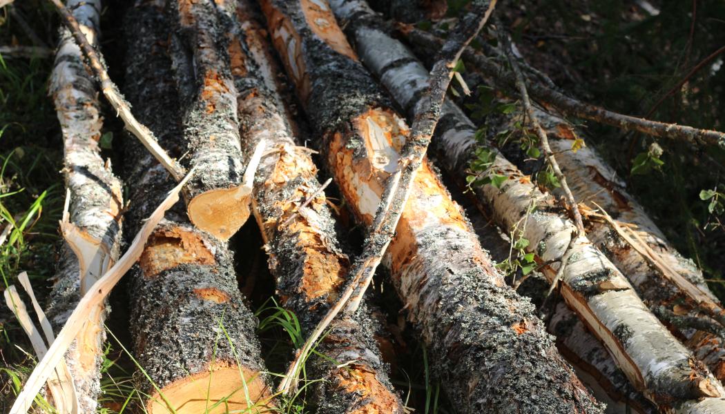 The EU Commission proposal introduces targeted simplifications.