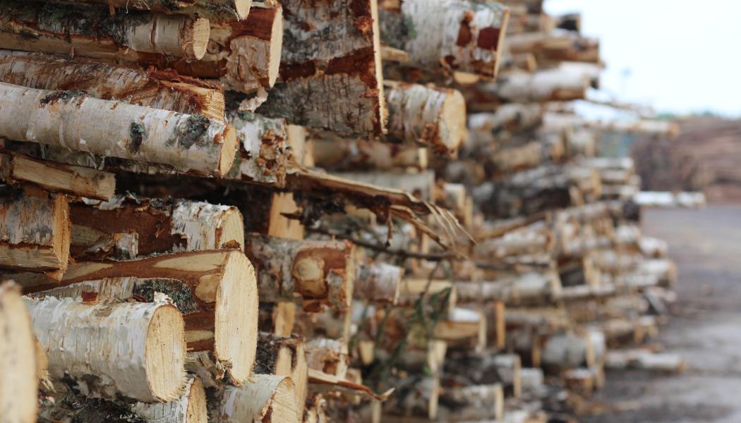 The U.S. Lumber Coalition is an alliance of large and small softwood lumber producers from around the country, joined by their employees and woodland owners, working to address Canada's unfair lumber trade practices. 