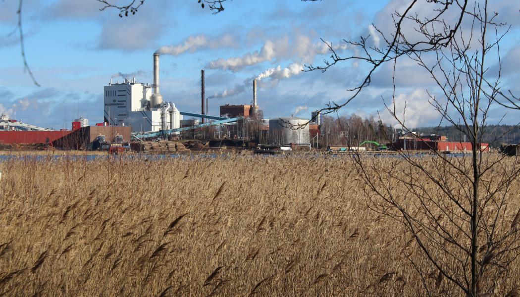 Gruvöns bruk producerar falskartong, vätskekartong och white-top kraftliner bland annat.