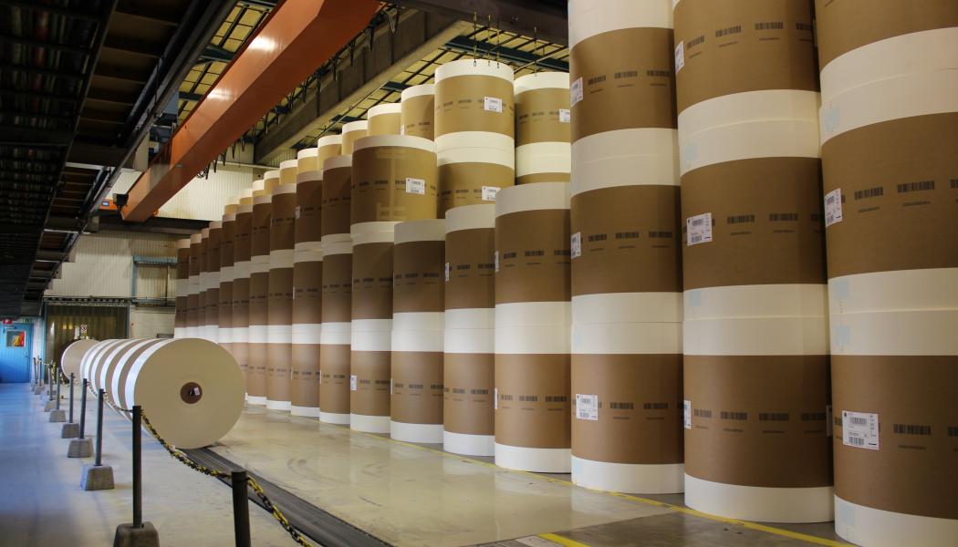 The government ordered the closure after Northern Pulp failed to meet the province's environmental requirements for a new effluent treatment plant. 