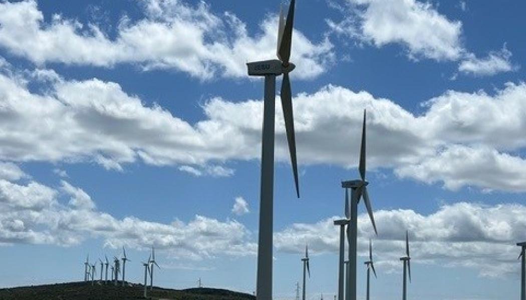 Foto John Hardwick / Conventus