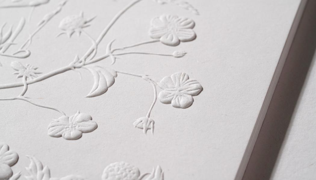 In packaging, paper is experiencing something of a renaissance.  Photo: James Cropper/Copyright: Plain Creative LTD