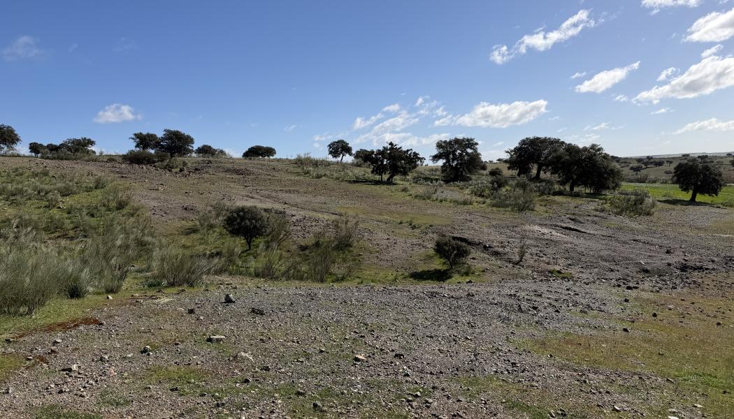De nya fynden av bronsåldersgruvor förändrar vår förståelse av hur sammanlänkat Europa var redan för 3 000 år sedan, enligt studien. Foto: Johan Ling/Göteborgs univsersitet