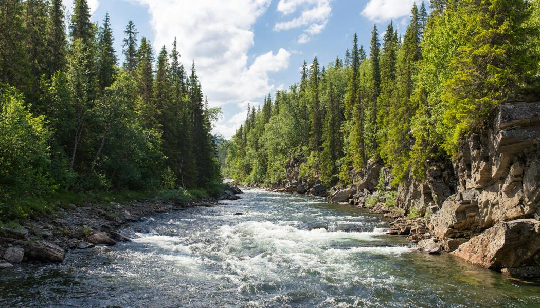 Gäddede, Jämtland Foto: Jon Flobrant/Unsplash