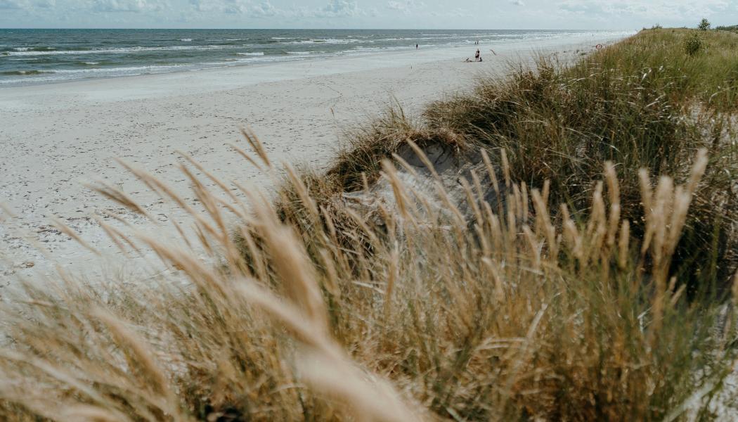 Foto: Jonas Jacobsson / Unsplash