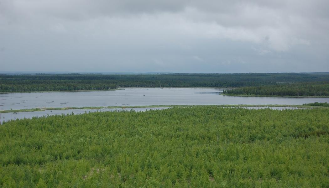 The Athabasca Basin hosts one of the world's richest high-grade uranium deposits. Photo: Konstantin von Gunten (Kvgunten)/Wikimedia Commons 