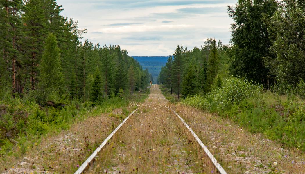 Inlandsnbanan. Foto: lasse nystedt /unsplash 