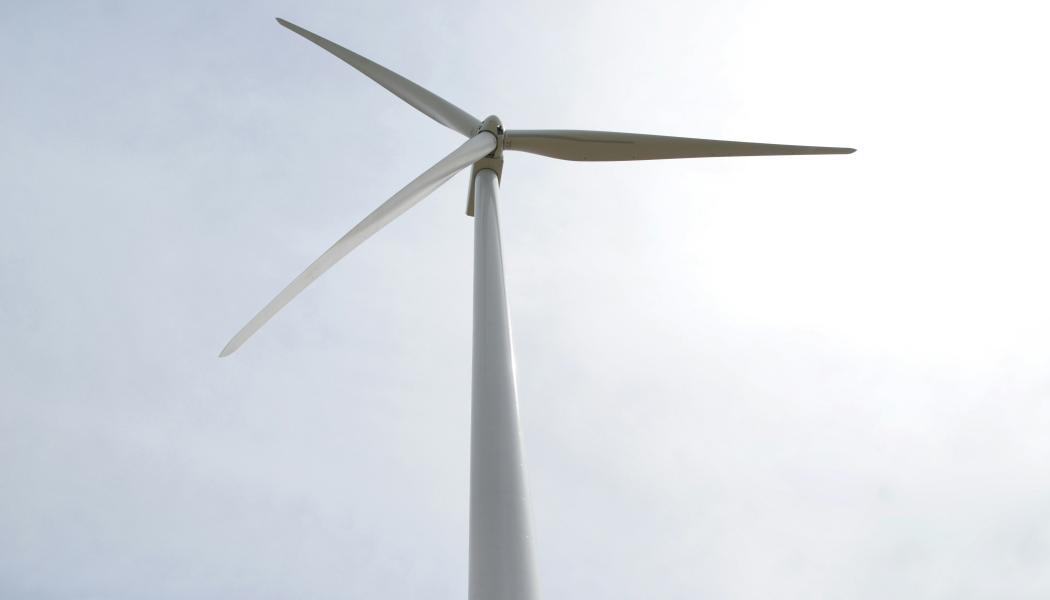 Vindkraft. Foto: Laura Ockel / Unsplash