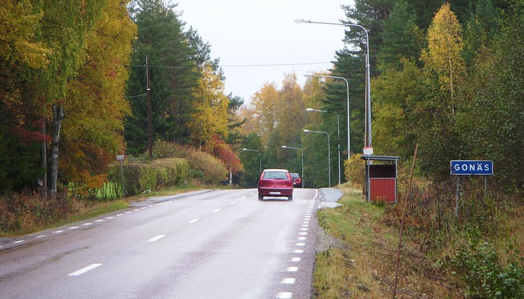 Ortsinfart till Gonäs i Ludvika, där två fastigheter nu tas i anspråk för logistikprojektet. Foto: Holger.Ellgaard/Wikimedia Commons / https://commons.wikimedia.org/wiki/File:Gon%C3%A4s_2013.jpg