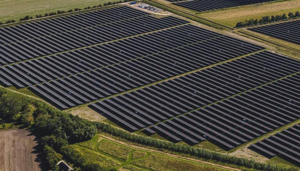 Bild från Alights 215 MWp solpark på Lolland i Danmark.