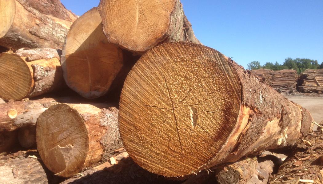 The U.S. Lumber Coalition is an alliance of large and small softwood lumber producers from around the country, joined by their employees and woodland owners, working to address Canada's unfair lumber trade practices.